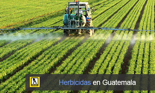 Herbicidas en Guatemala