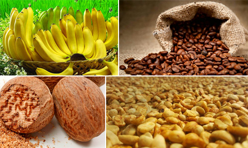 Productos de Exportaci&oacute;n en Guatemala