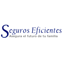 Seguros Eficientes en Guatemala