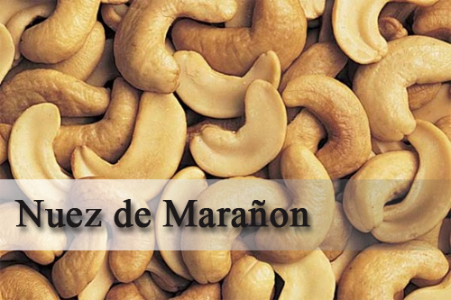 nuez de maranon en guatemala 