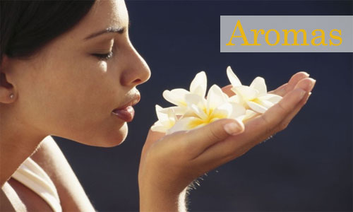 aromas en guatemala