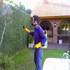 control de insectos en hogares, oficina 