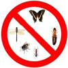 control de plagas de insectos, exterminacion de insectos