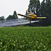 fumigacion aerea 