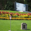 mantenimiento de jardines en guatemala
