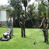 remodelacion y mantenimiento de jardines